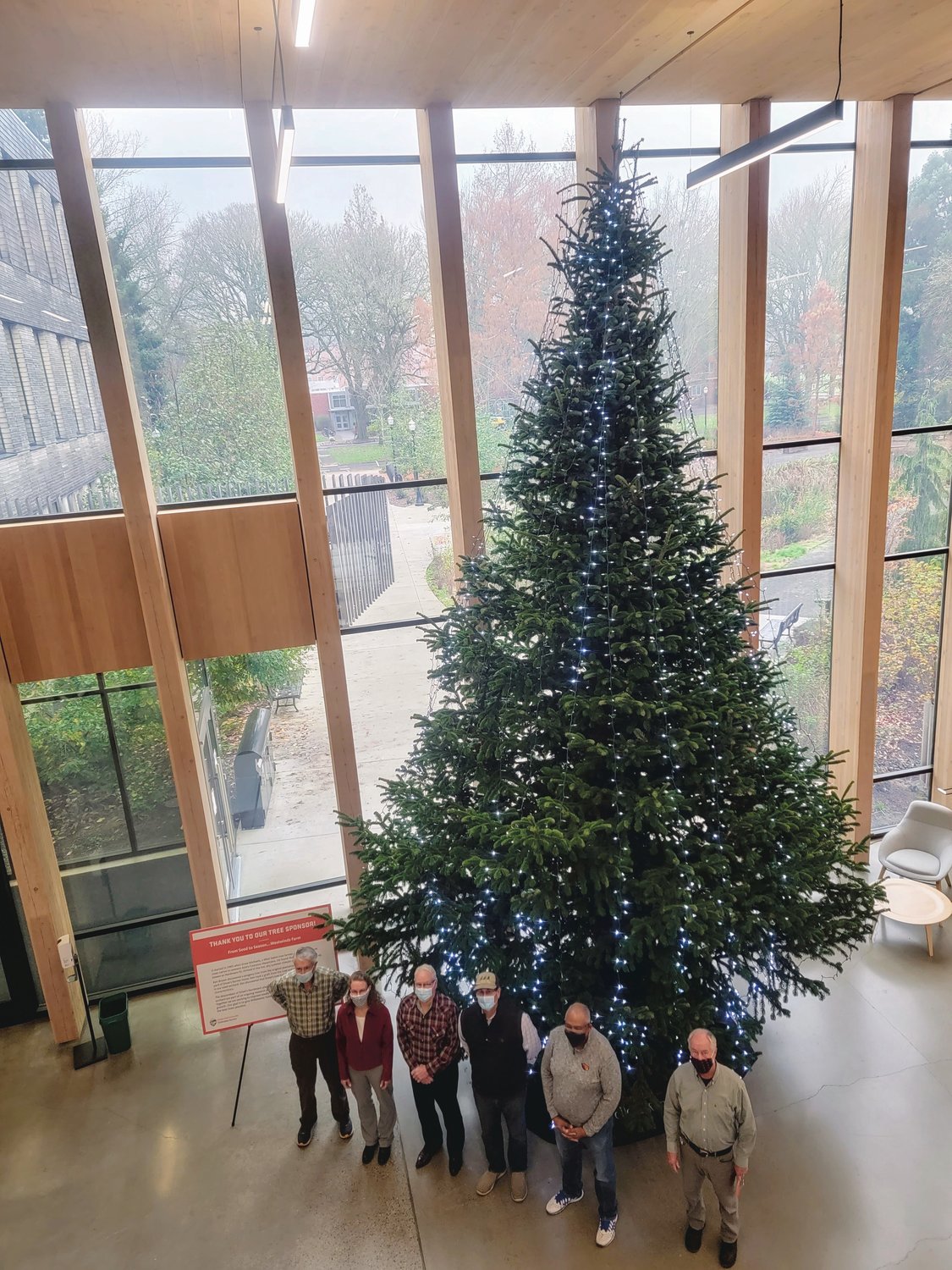 A Nordmann fir donated by Bryan Brown and Jim Heater is pictured at Oregon State University in Peavy Hall.